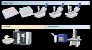 Process flow