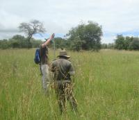 Collecting Data