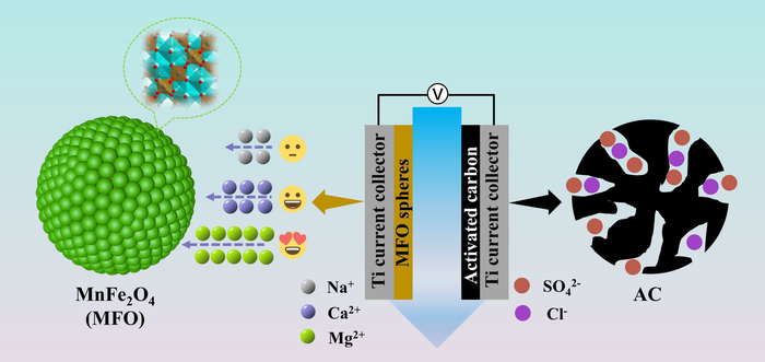 Fig. 1 Schematic diagram of selective ions electrosorption in MFO electrode of hybird capacitive deionization system.