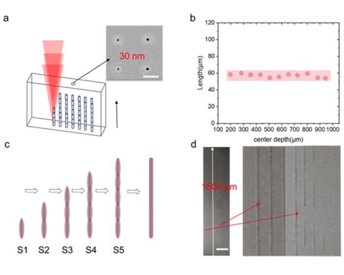 Figure 2| Strategy and characterization of dynamic axial focal stitching.
