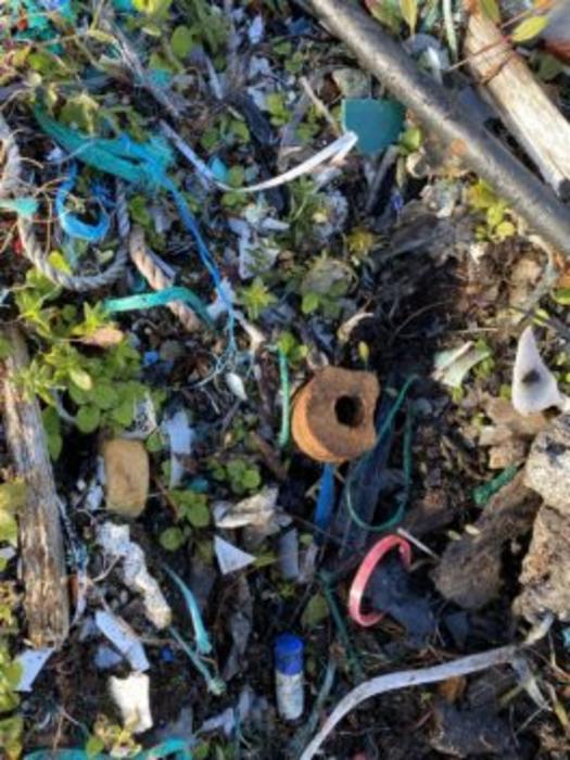 Microplastics are everywhere