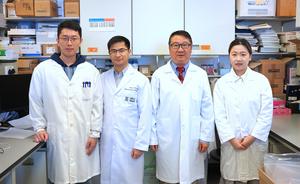 World’s First Hybrid Photosensitive Immunotherapy
