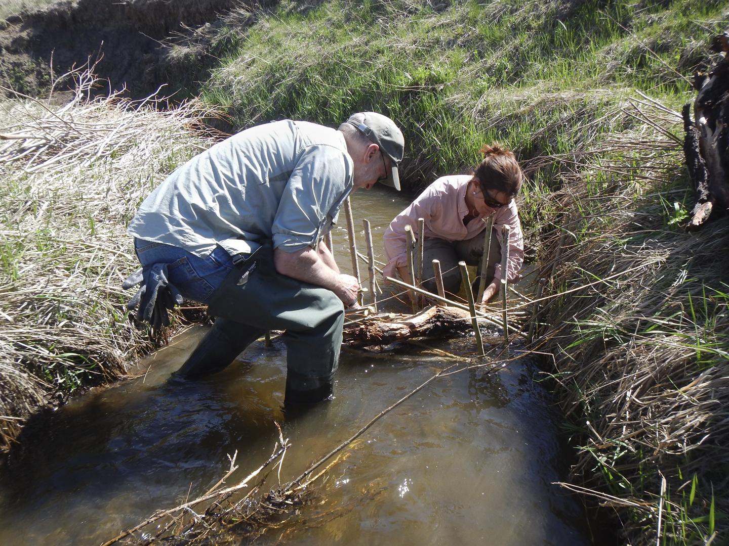 Building a Beaver Mimicry Structure