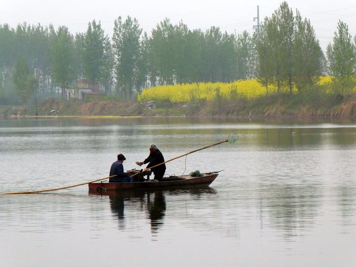 Fishermen at Shaying river in China