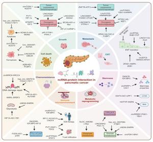 Mechanisms behind the role of noncoding RNAs (ncRNAs) in pancreatic cancer.