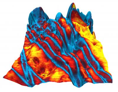 Organic Ferroelectric