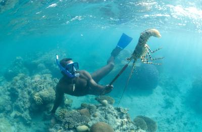 World Interest in Australian Fishery Impact Test