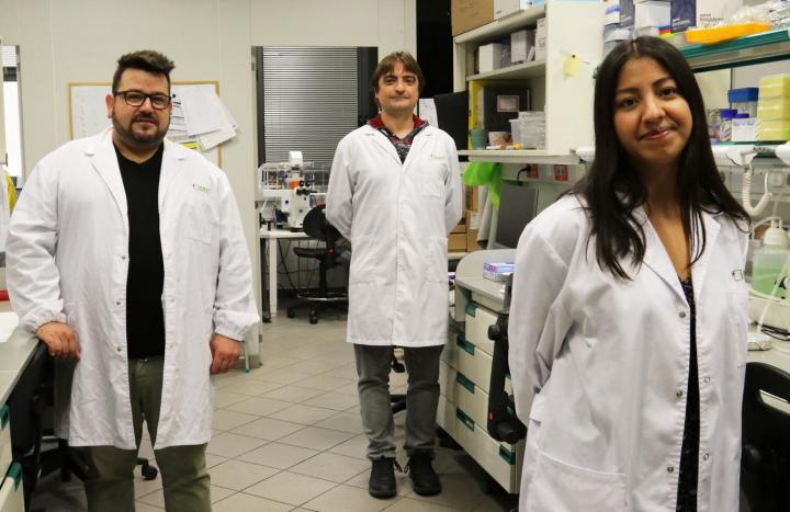 IBEC researchers