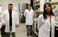 IBEC researchers