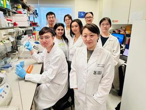 research team