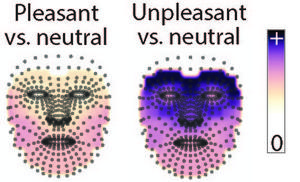 Unpleasant and pleasant sound facial movements