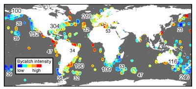 Cumulative Impacts