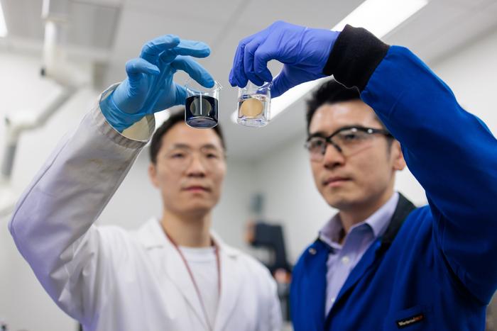 New nanomaterial helps patients with kidney stones