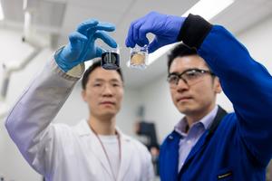 New nanomaterial helps patients with kidney stones