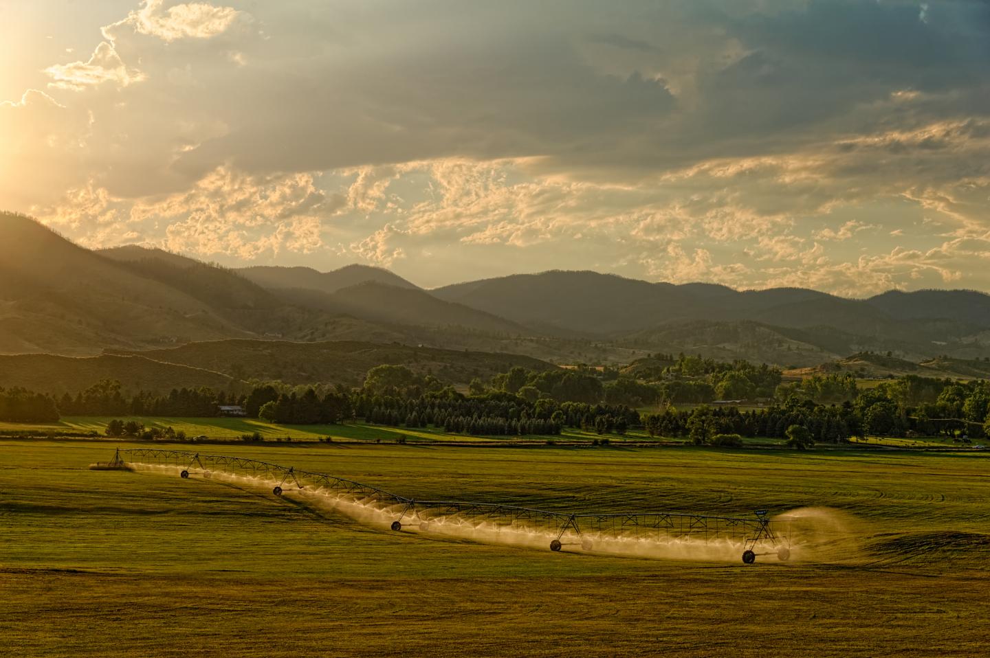 Pleasant Valley