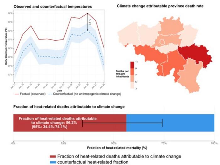 heat related mortality Belgium 2026