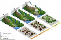 Simplified Tibet growth stages, climate, and vegetation changes