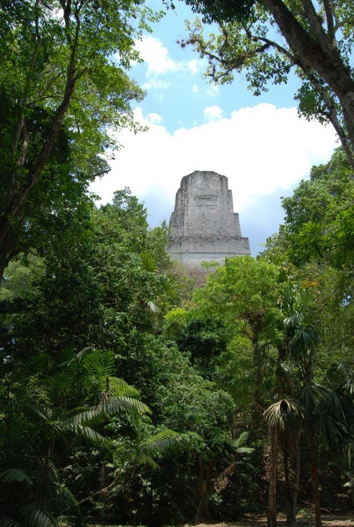 Tikal (2 of 3)