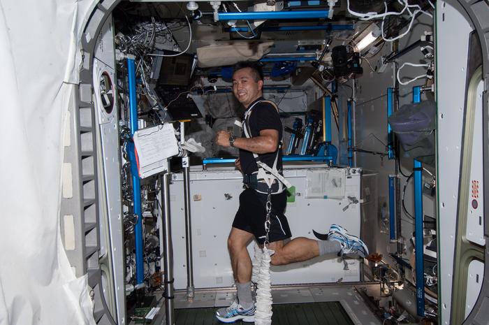 Japan Aerospace Exploration Agency astronaut Koichi Wakata exercises on the Combined Operational Load Bearing External Resistance Treadmill in the Tranquility node of the International Space Station