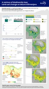 Gain and loss: Human and environmental wellbeing – drivers of Kilimanjaro’s decreasing biodiversity