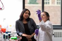 Overcoming Antimicrobial Resistance, FAST