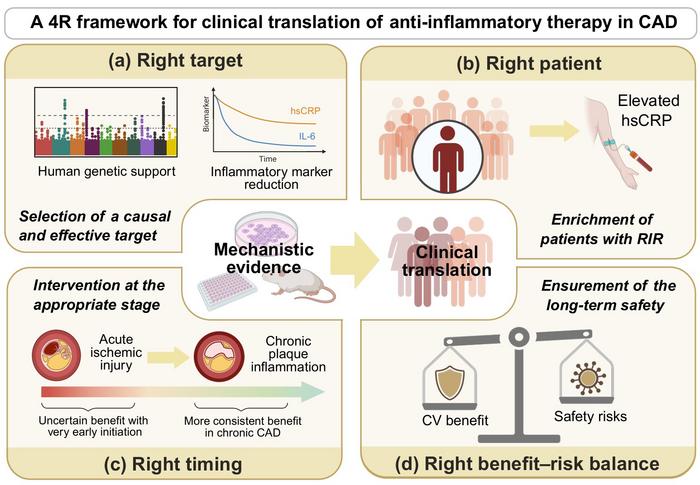 A “4R framework” for translating anti-inflammatory therapy into cardiovascular benefit