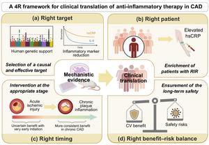 A “4R framework” for translating anti-inflammatory therapy into cardiovascular benefit