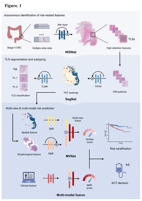 Deep learning model trained with stage II colorectal cancer whole slide images identifies features associated with risk of recurrence – with higher success rate than clinical prognostic parameters