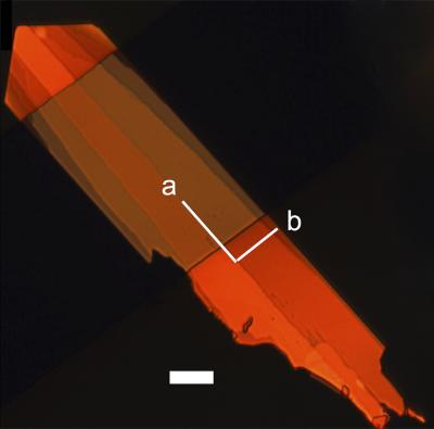 New Semiconductor Material from Bao Lab