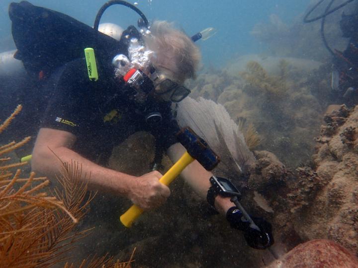 Rüdiger Bieler Diving
