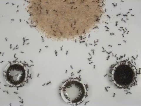 Movie-Sand Structure