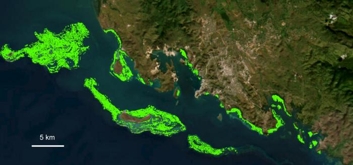 Satellite photo of Papua New Guinea with seagrass highlighted