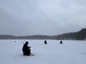 Sitting icefishers