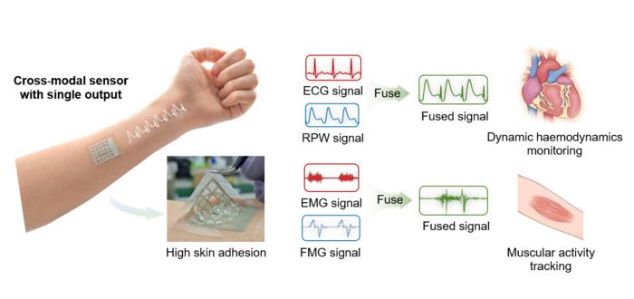 NUS CDE researchers merge multiple physiological signals into a single patch for simpler health monitoring