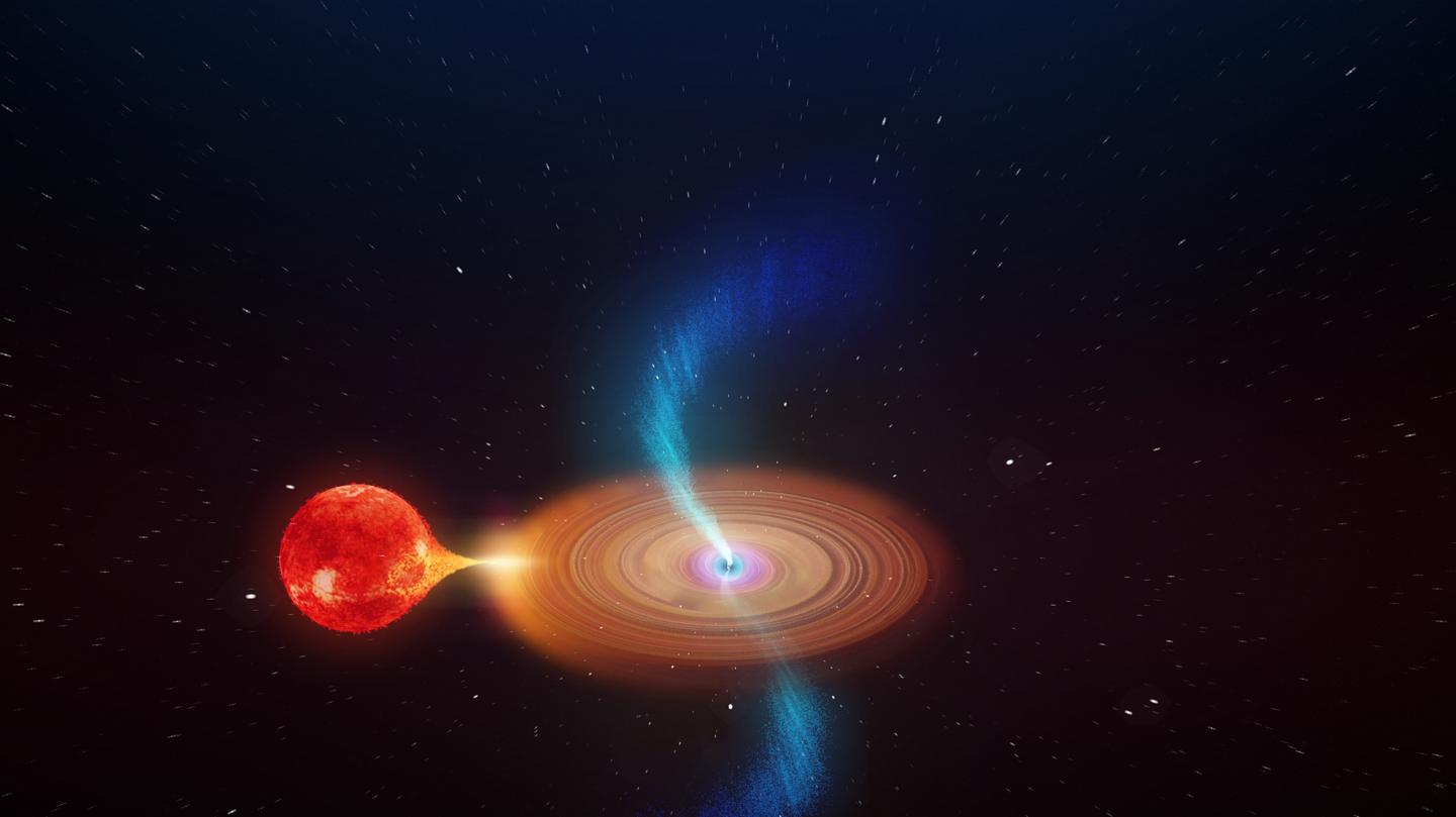 Artist's Impression of V404 Cygni Seen Close Up
