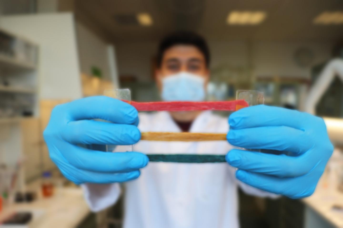 Ph.D. Student Morteza Alehosseini, DTU Health Tech, Demonstrates that CareGum is Very Stretchable
