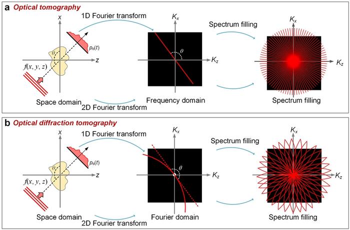 Principle and Workflow of 3D RI Imaging via OT or ODT