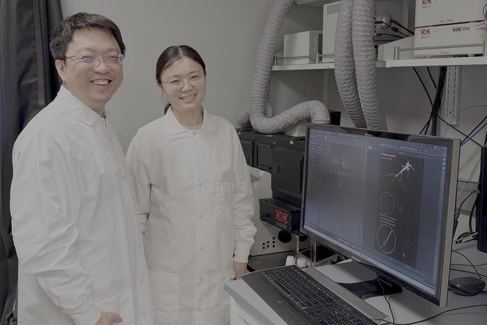 Stanley Qi and Menting Han
