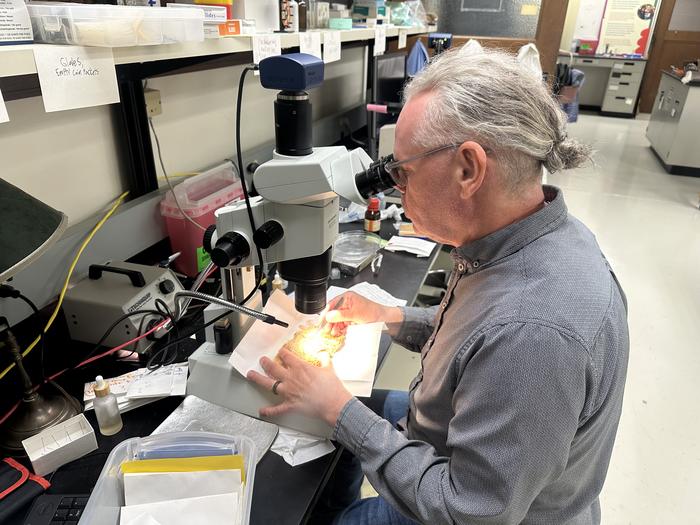 Matt von Konrat examining moss