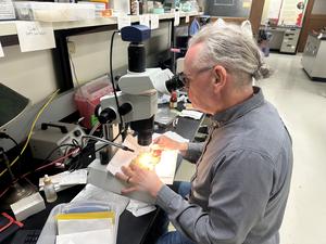 Matt von Konrat examining moss