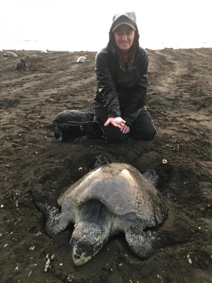 Researcher with turtle