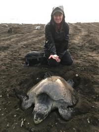 Researcher with turtle