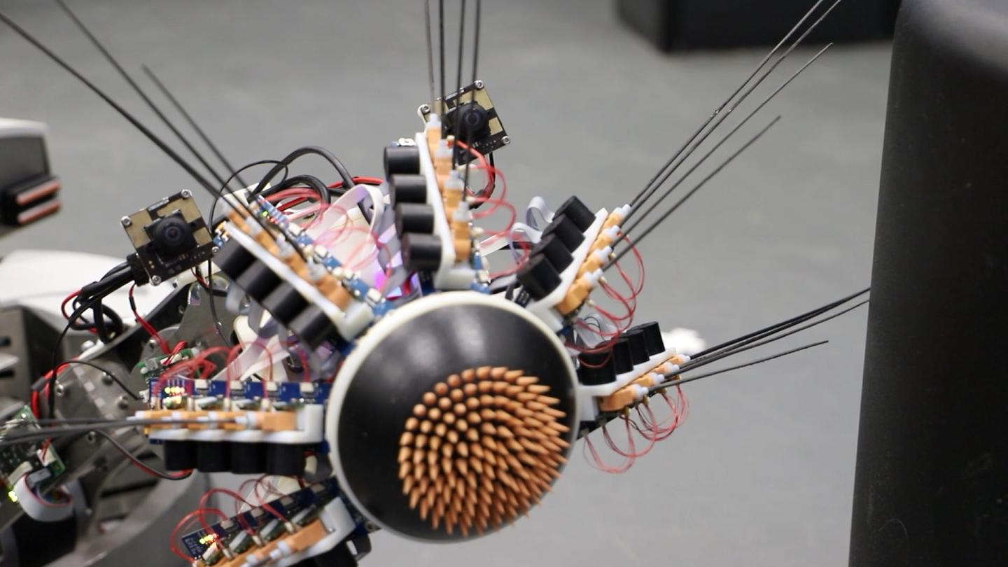 Whiskeye Robot