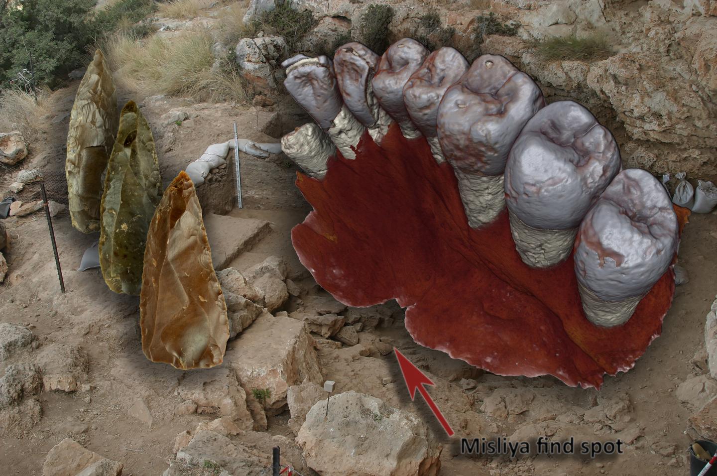 Oldest Human Fossil Outside of Africa Discovered, With Tools Nearby (9 of 11)