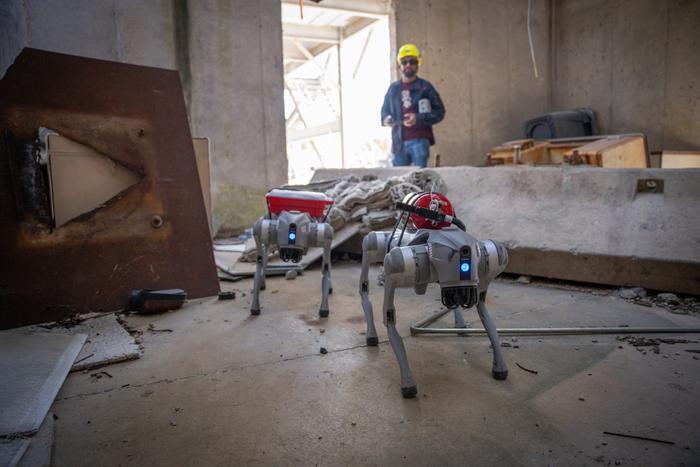 Robot dogs on the move