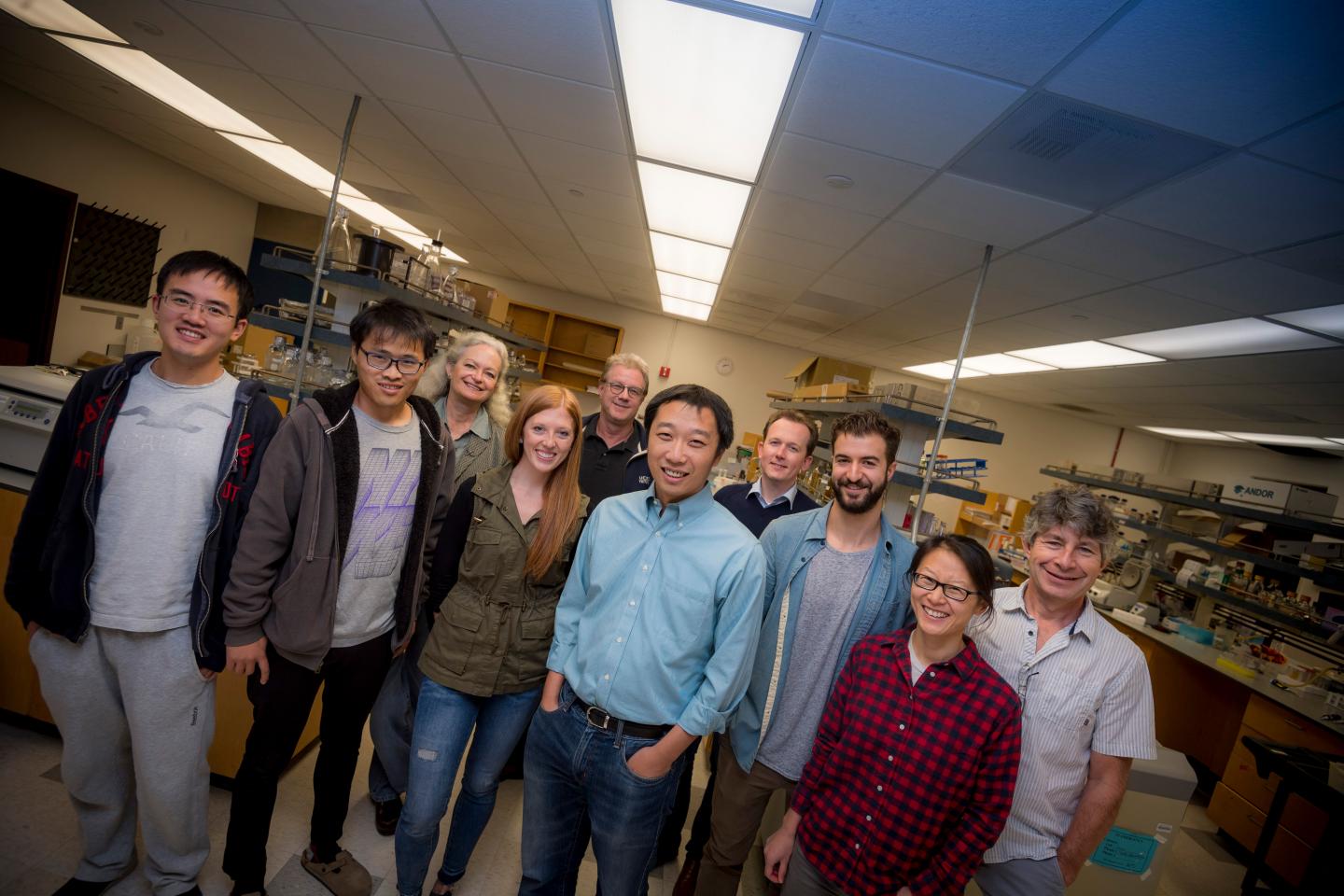 Cell Aging Research Team