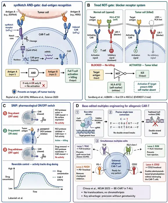 Engineering CAR-T cells for solid tumors: Overcoming the microenvironment through integrated design and clinical translation