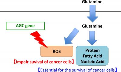 Colon Cancer Figure