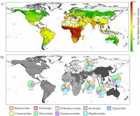 Distributions of Bat-Human Virus Sharing