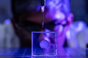 Printing 3D brain